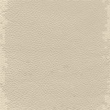 Pearl Beige